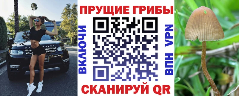 мега вход  Спас-Деменск  Псилоцибиновые грибы MAGIC MUSHROOMS 